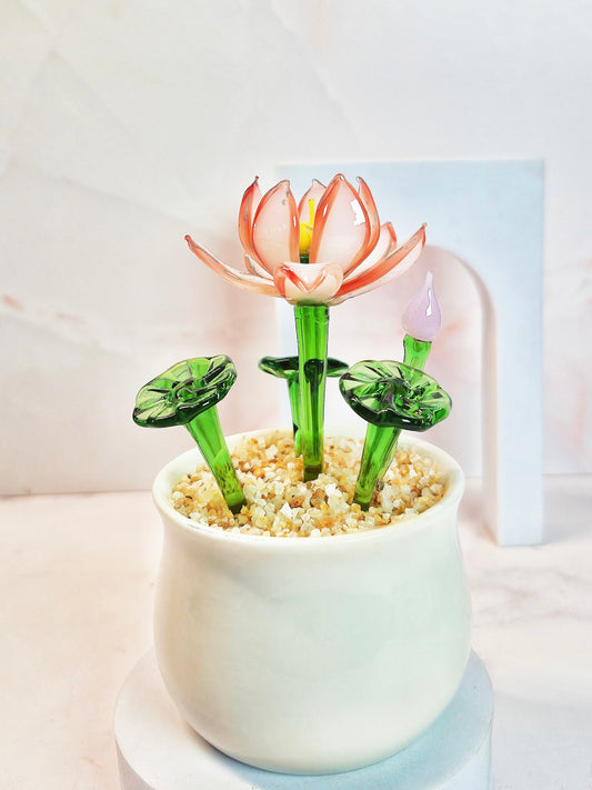 Red Lotus
