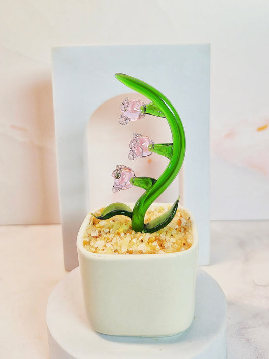 Lily of the Valley - Pink blossom