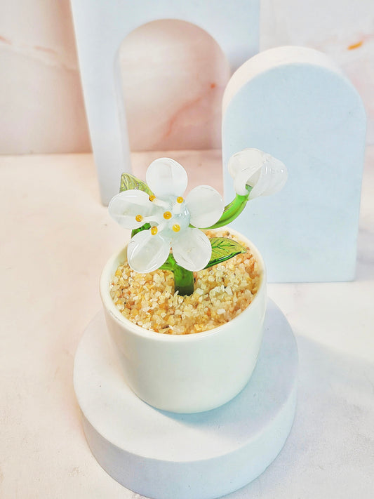 Jasmine