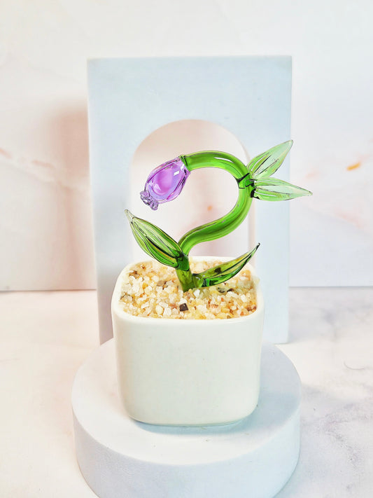 Lily of the Valley