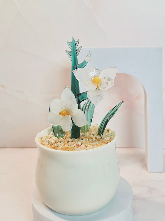 Daffodil