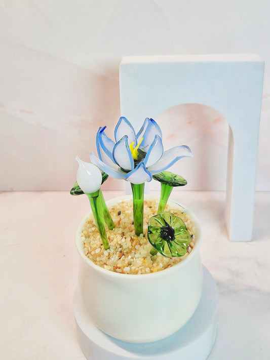 Blue Lotus